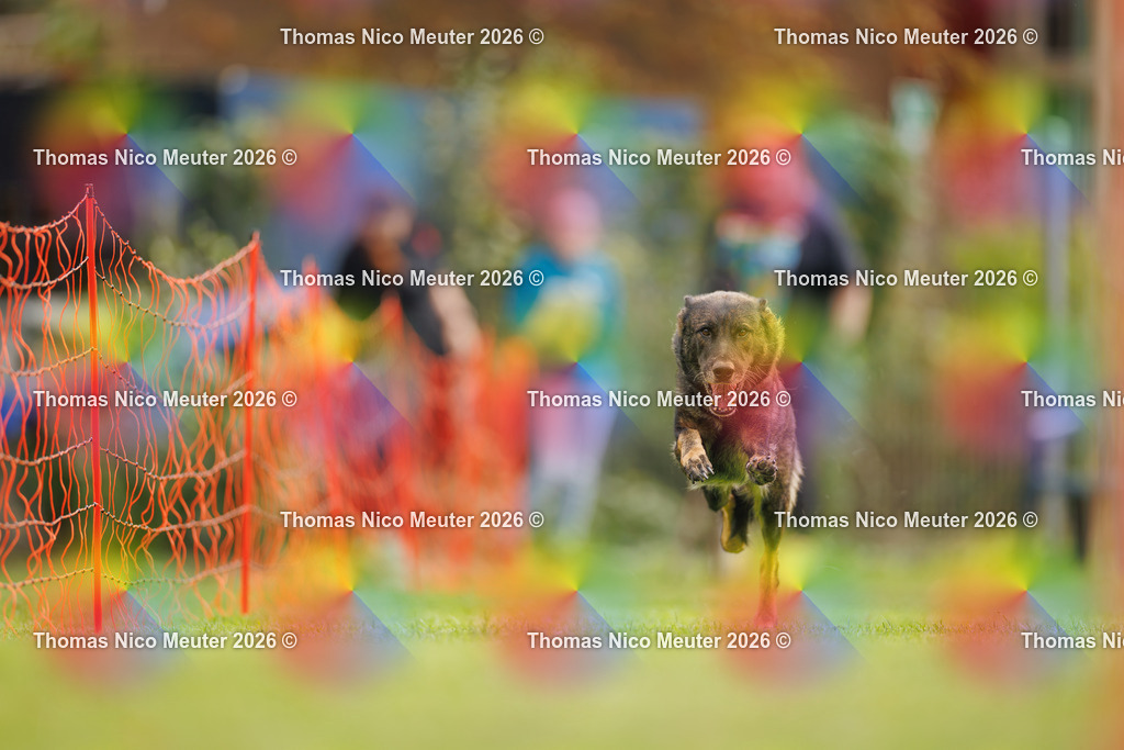 Thomas_Nico_Meuter(C)_26. September 2026_223A0501 | Bild von Thomas Nico Meuter - Realisiert mit Pictrs.com