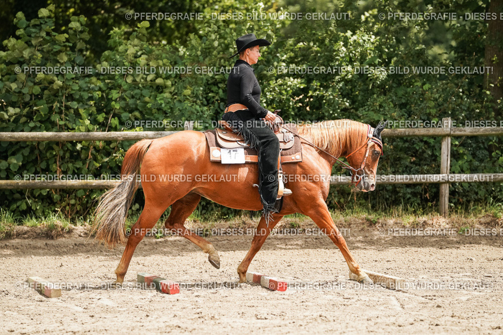 DSC08124 | Pferdegrafie