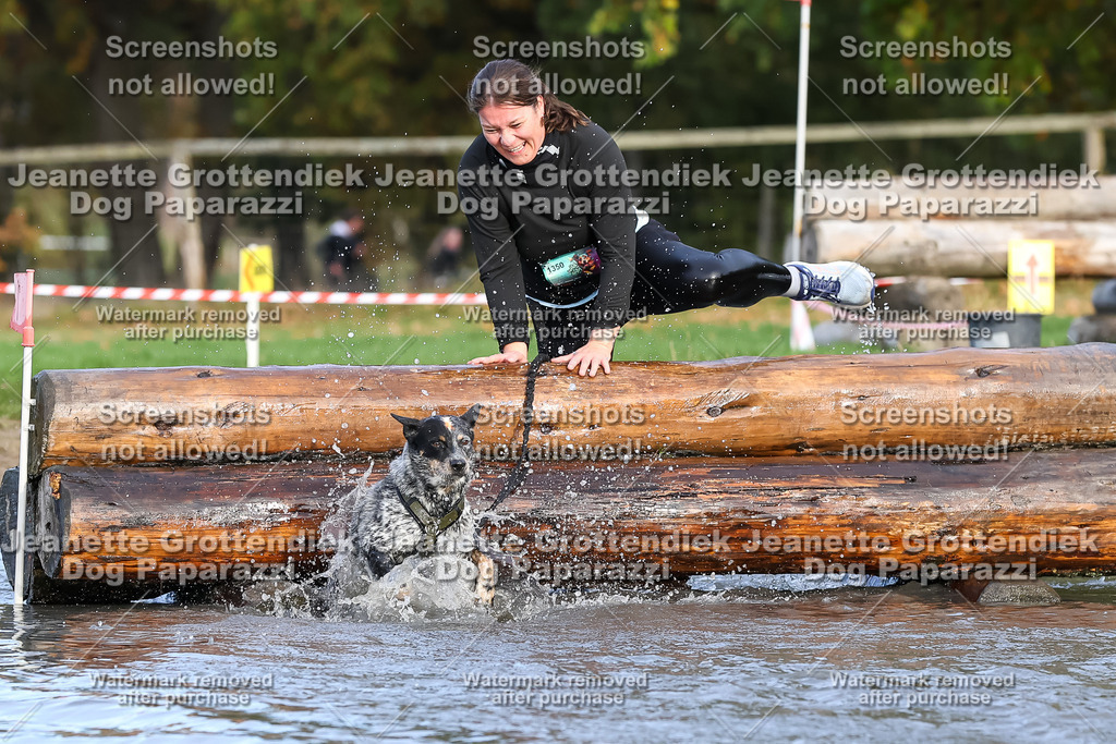 Dog Paparazzi - Strongdog 10-25-8257 | Dog Paparazzi Jeanette Grottendiek Fotografie & Videografie - Realisiert mit Pictrs.com