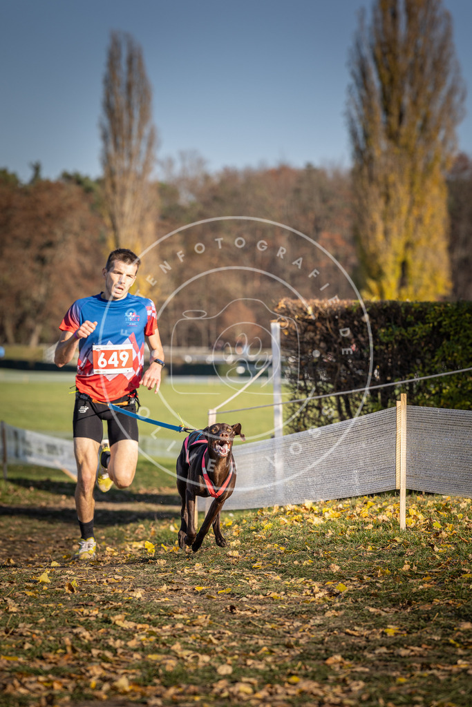 CaniXpix_DV3A0456 | Hundefotografie, Tierfotograf, Pfotenfotografie, Fotoshooting Hund, Hunde Portrait, Hundesport, Hundeportraits, Heideshooting, Hunde, Sportfotograf, Hundefotograf, Turnierhundsport, THS,  - Realisiert mit Pictrs.com