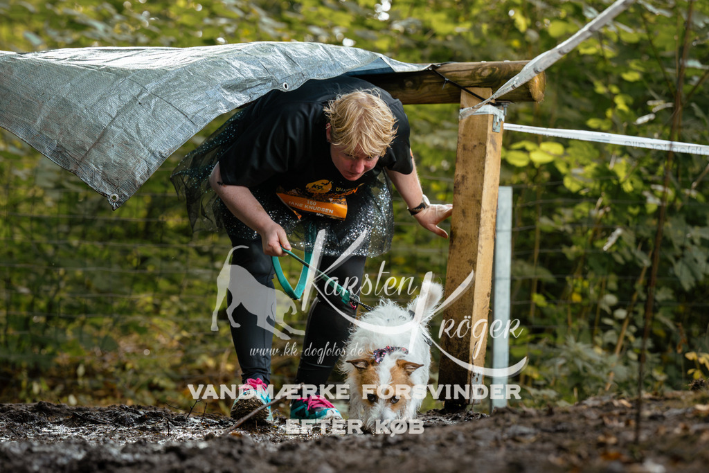 1401DZ6_0893Z6 | kk-dogfotos