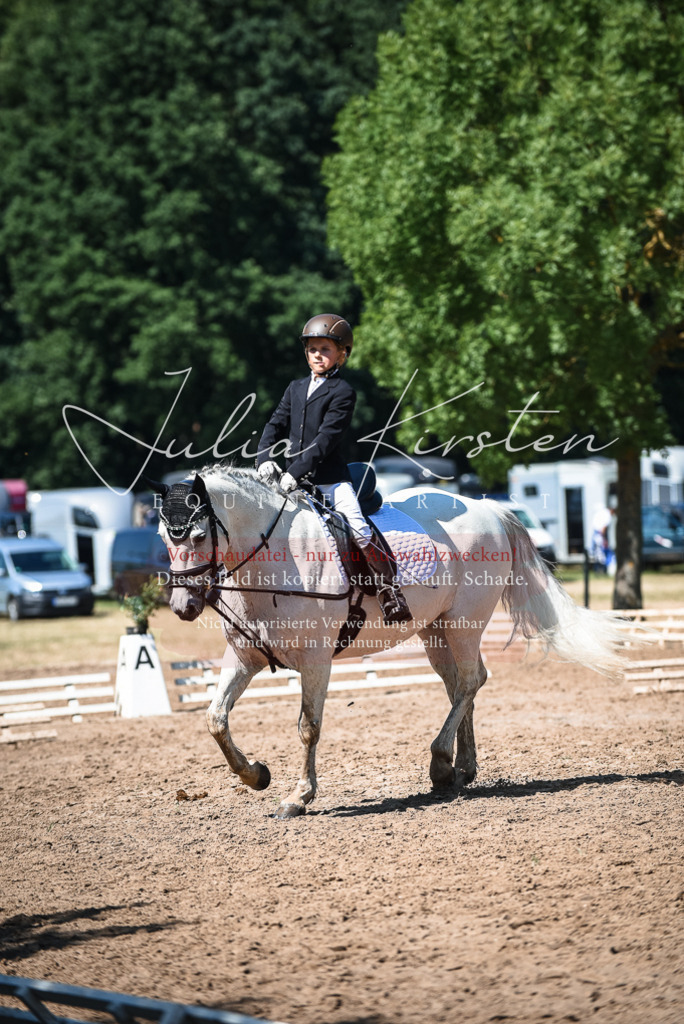 DSC_3584 | Pferde- und Turnierfotografie in Westsachsen. Pferdeportraits, Auftragszeichnungen und intuitive Kunst.