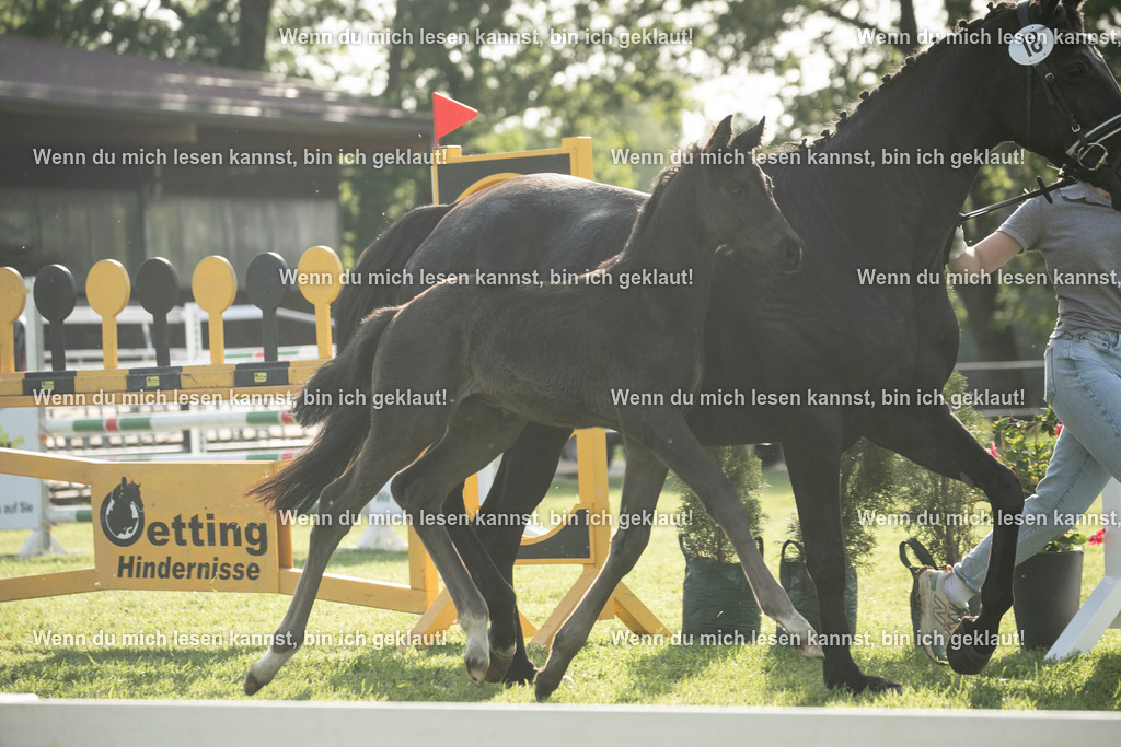 598A7339 | photographylinaismer - Realisiert mit Pictrs.com