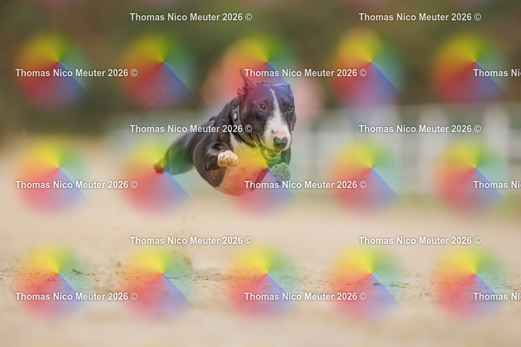 Thomas_Nico_Meuter(C)_03. Oktober 2026_223A6268 | Bild von Thomas Nico Meuter - Realisiert mit Pictrs.com