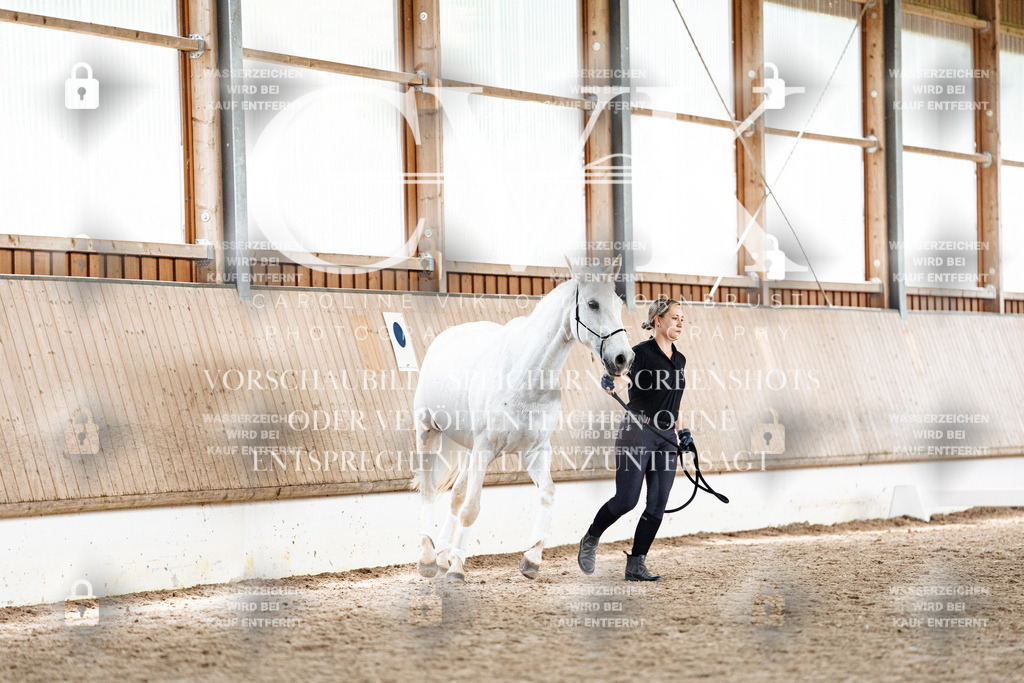 CK907718 | Turnierfotografie Pferdefotografie Trier Rheinland-Pfalz Pferdesport Reitsport Tierfotografie Sportfotografie Pferdevideo Pferdevideografie Equestrianvideography equestrianphotography  - Realisiert mit Pictrs.com