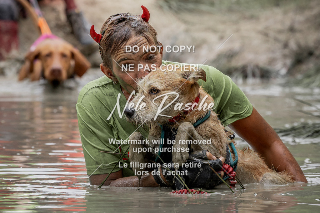nelerasche_so1445-1515_272 | nelerasche