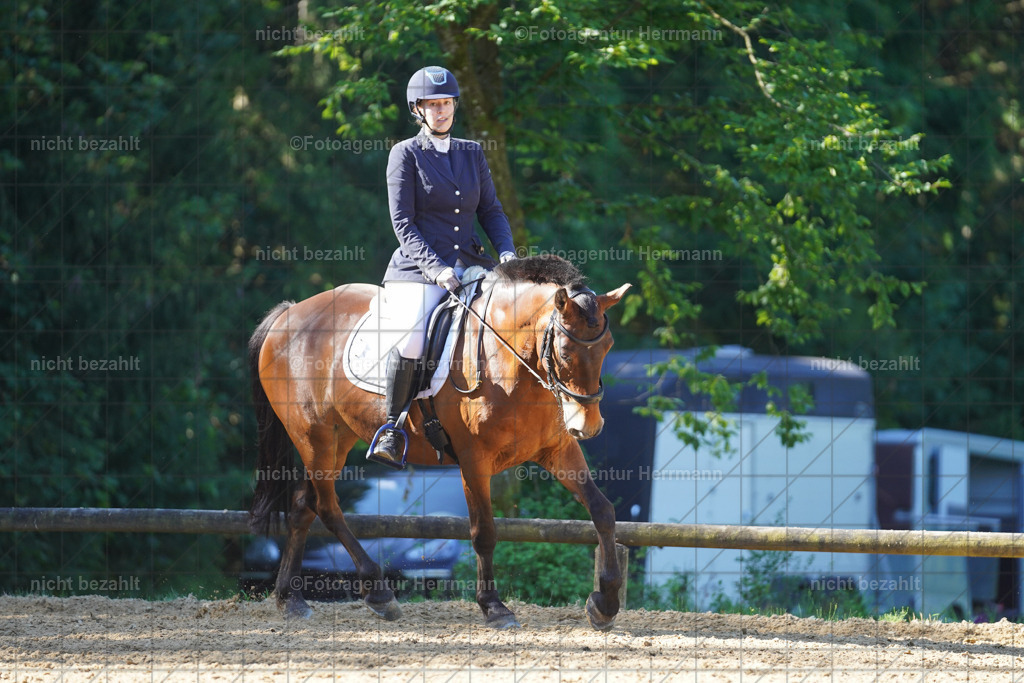 20240706-FAH04526 | Grafing Turnierfotos, Reitverein Ebersberg, Turnierfotografen Bayern, reitsportbilder, Pferdefotograf, reitsportfotograf, Sportbilder, Reitsportfotografie, Fotoagentur Herrmann, Turnierfotograf