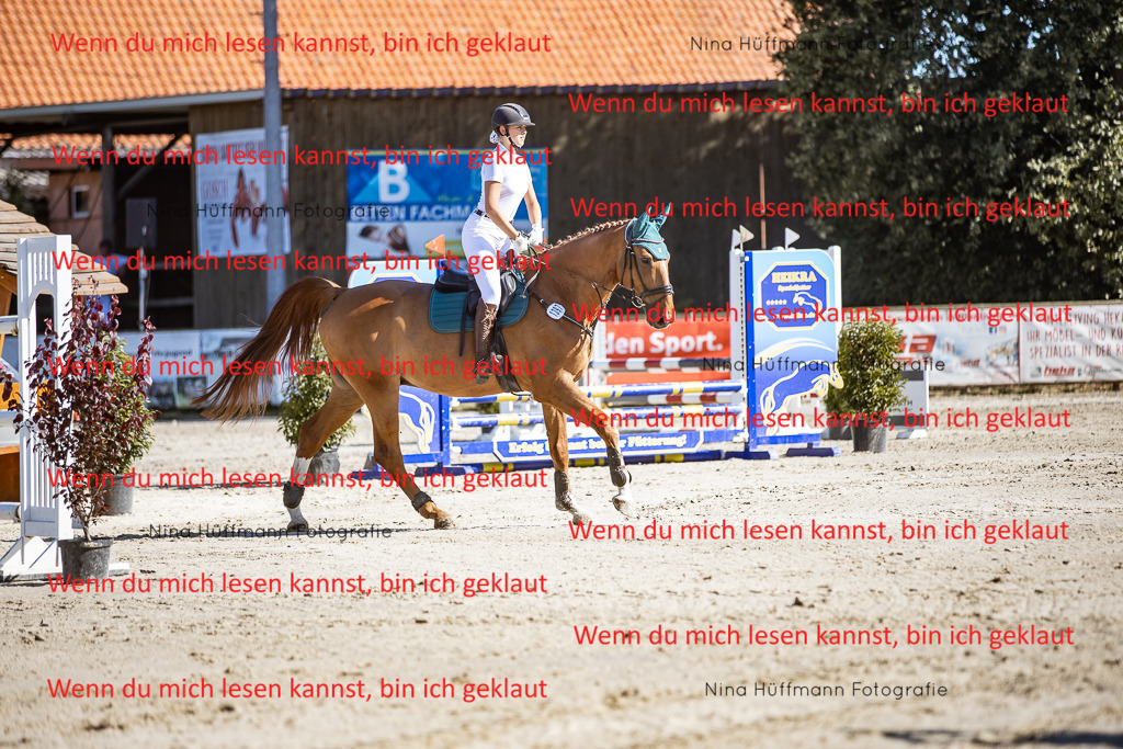 BK1A7979 | Turnierbilder Turnierfotos Nina Hüffmann Turnierfotografie Pferdefotografie Tierzeichnung Haustierzeichnung Pferdezeichnung Hundezeichnung Videograf  - Realisiert mit Pictrs.com