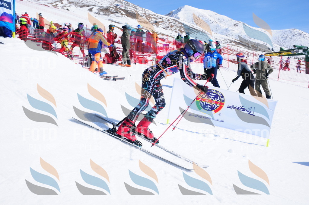 DSC_4453 | holidayphoto