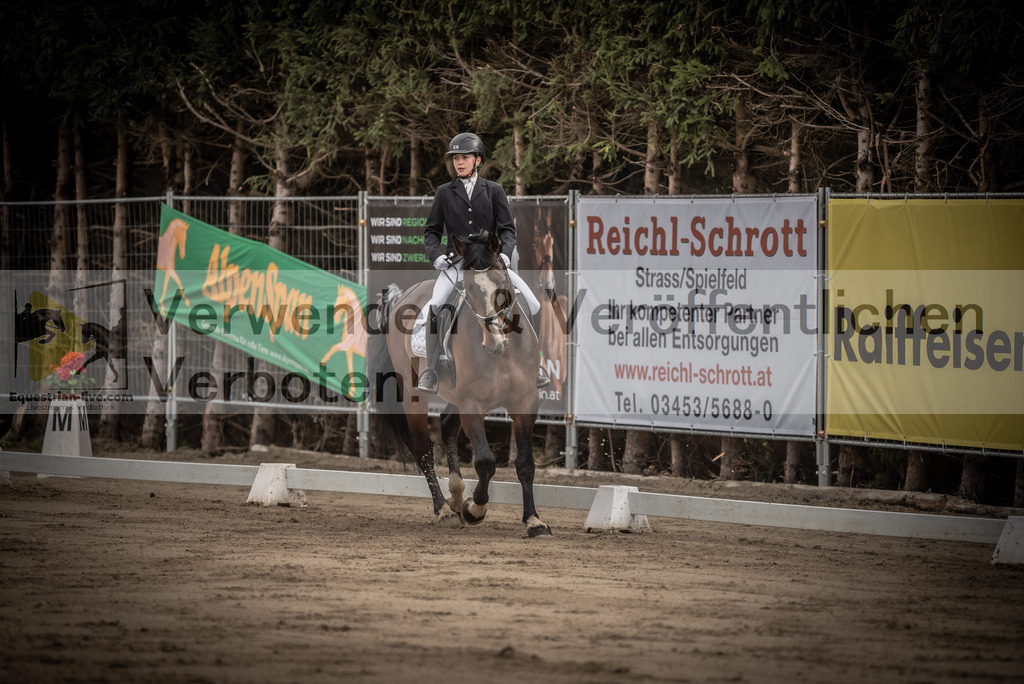 DSC_8326 | equestrian-live-com