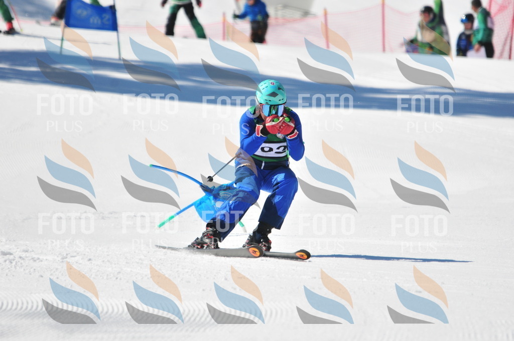 C4389 | holidayphoto