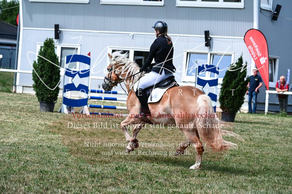 DSC_8742 | Pferde- und Turnierfotografie in Westsachsen. Pferdeportraits, Auftragszeichnungen und intuitive Kunst.