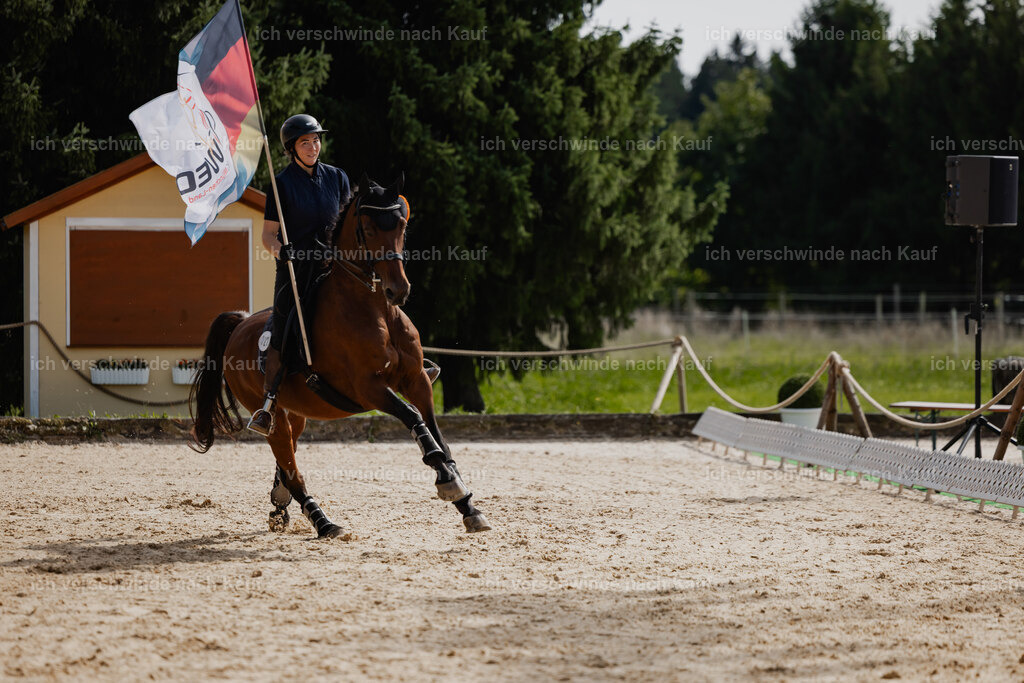 Nadine22_FHC2025-164 | working equitationturnier fotograf videograf stoibphotography marixx film working equitation deutschland reitsport turnierfotografie eventfotografie equestrian events
