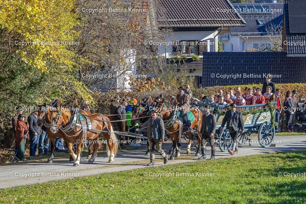 LBT25-479 | foto-bettina-krinner - Realisiert mit Pictrs.com