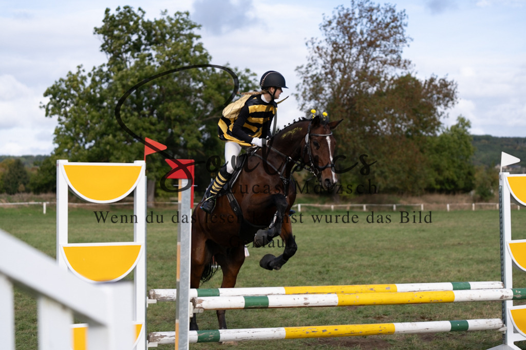 A7V06550 | Pferdefotograf