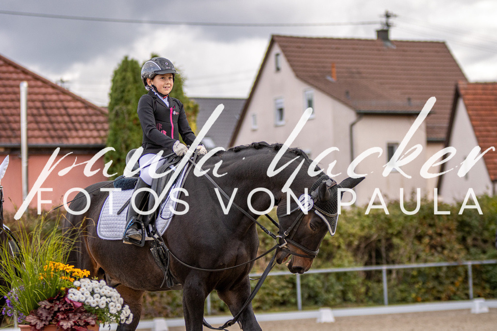 IMG_3539 | Erleben Sie dynamische Sport- und emotionale Tierfotografie in Süddeutschland mit Fotos von Paula. Spezialisiert auf Pferde- und Hundefotografie sowie Sportevents. Kontaktieren Sie mich für einzigartige und ausdrucksstarke Bilder Ihrer besonderen Momente. - Realisiert mit Pictrs.com