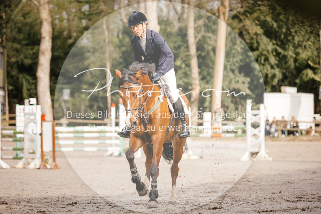 3I6A3256 | Stimmungsvolle Portraits und Reitsportfotografie im Ruhrgebiet und im Münsterland.

Pferdefotografie, Hundefotografie, Tierfotografie, Reportagen, Portraits von Tier und Mensch, Turnierfotografie in Bochum, Recklinghausen, Marl, Haltern am See, Dülmen.. - Realisiert mit Pictrs.com