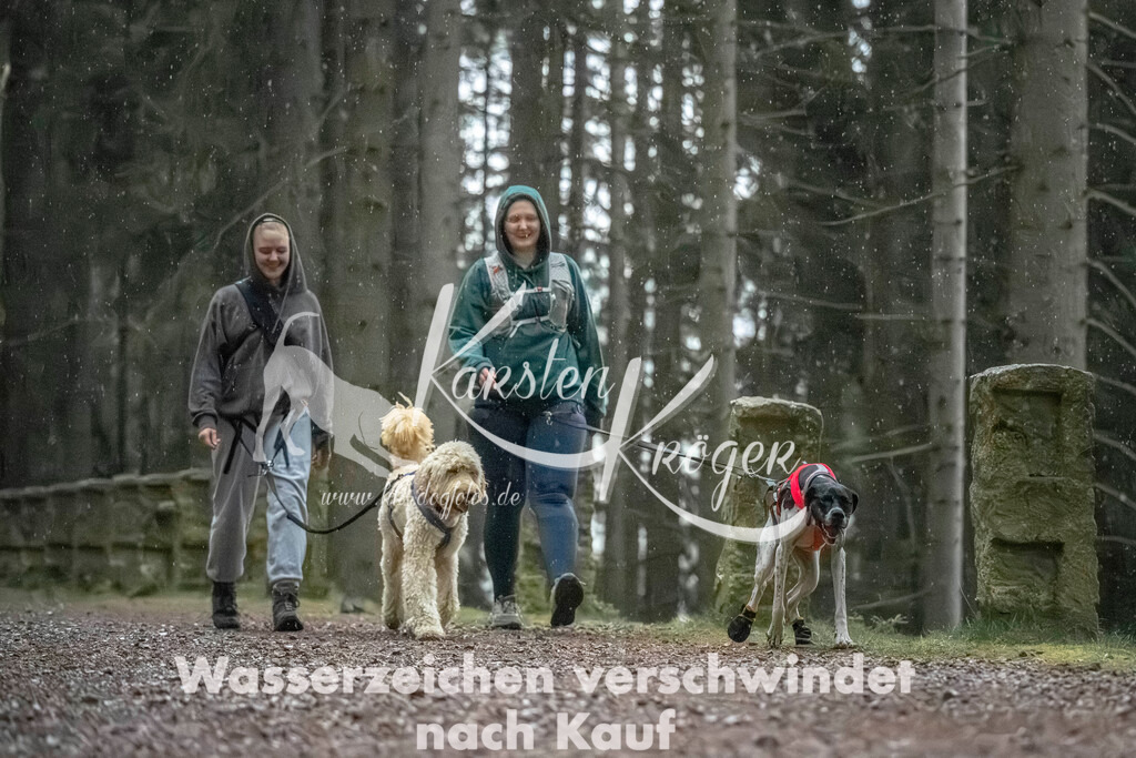 0837_ZZ92212 | kk-dogfotos