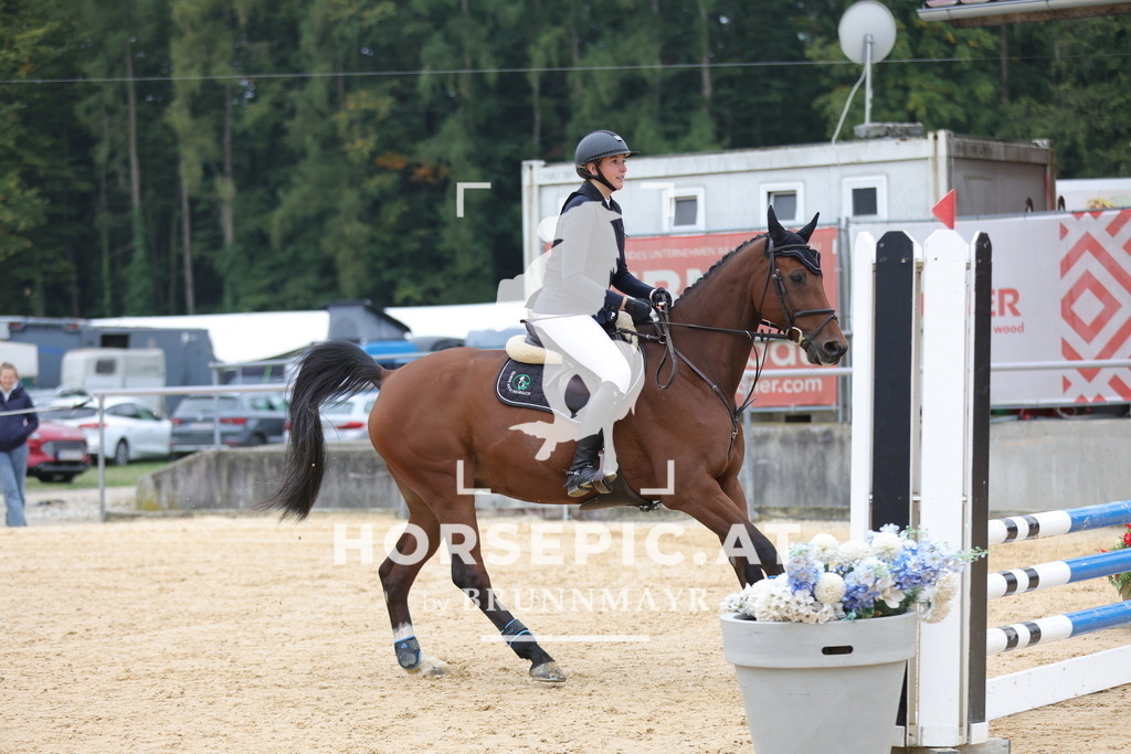 0P6A3681 | Willkommen bei Brunnmayr - Design & Fotografie – Ihrem Spezialisten für Reitturniere und Pferdeveranstaltungen in Oberösterreich, Salzburg und Bayern! Seit über 17 Jahren sind wir leidenschaftlich dabei.