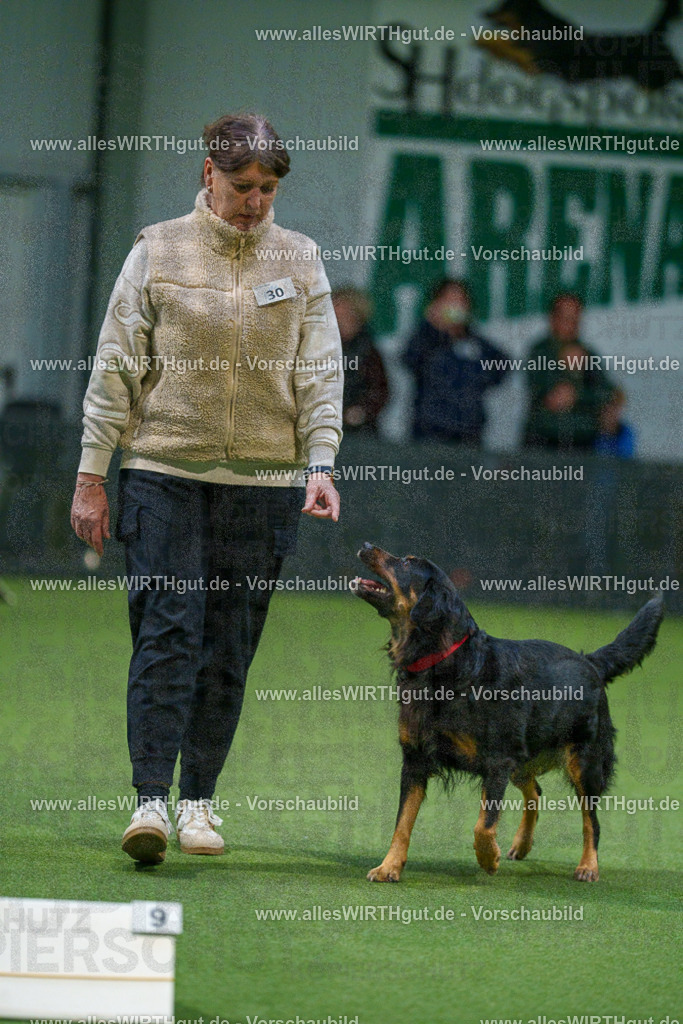 7R505419 | Professionelle Tierfotografie in Mönchengladbach von Daniel Wirth (allesWIRTHgut). Liebevolle & natürliche Bilder von Hunden & Katzen für unvergessliche Erinnerungen.