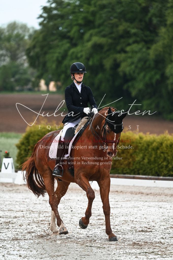 DSC_4254 | Pferde- und Turnierfotografie in Westsachsen. Pferdeportraits, Auftragszeichnungen und intuitive Kunst.
