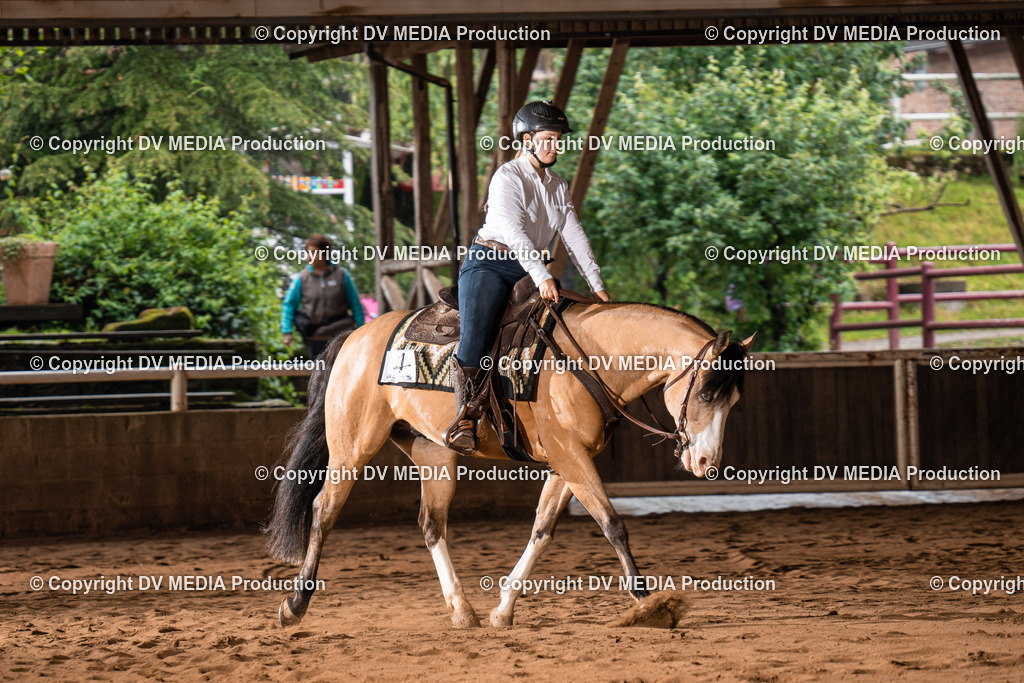 Erbach Tag 2-327 | dv-media-shop - Realisiert mit Pictrs.com