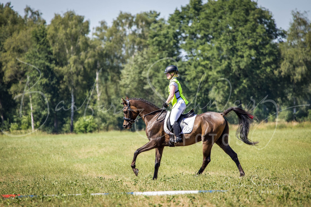 CJP_2026-06-26_163 | Stimmungsvolle Fotografie von Pferden, fotografische Begleitung von Veranstaltungen, Golfturnieren und Distanzritten - Realisiert mit Pictrs.com