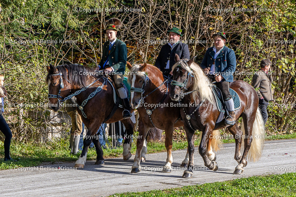 LBT24-567 | foto-bettina-krinner - Realisiert mit Pictrs.com