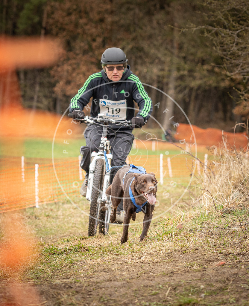 DV3A1028 | Hundefotografie, Tierfotograf, Pfotenfotografie, Fotoshooting Hund, Hunde Portrait, Hundesport, Hundeportraits, Heideshooting, Hunde, Sportfotograf, Hundefotograf, Turnierhundsport, THS,  - Realisiert mit Pictrs.com