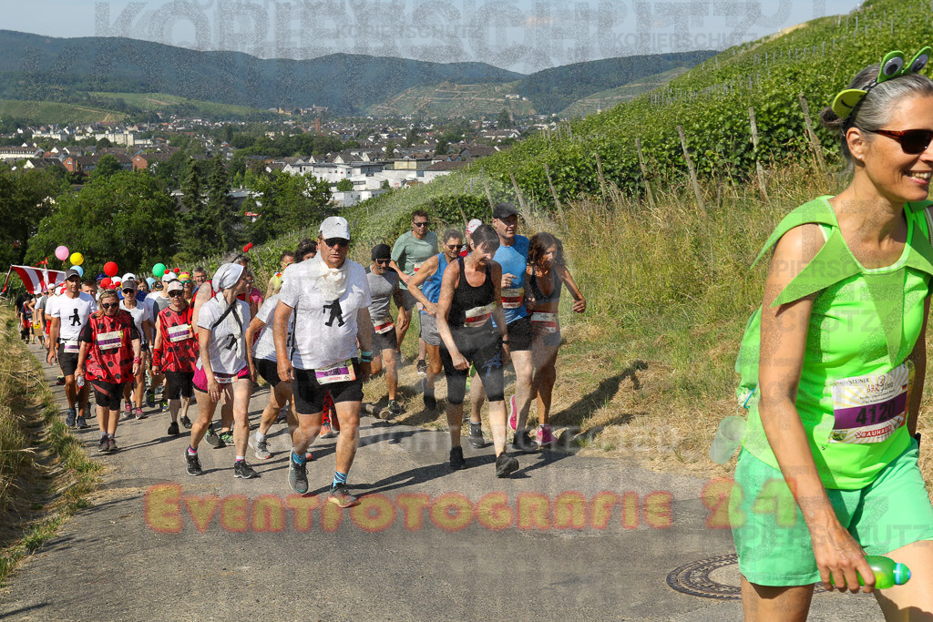 230617_0951_EV9_6693 | Sportfotografie im Rhein-Sieg Kreis, Köln, Bonn, NRW, Rheinland Pfalz, Hessen, etc. Unser Tätigkeitsfeld umfasst den Laufsport vom Volkslauf über den Marathon, Duathlon, Triathon bis zum Ultralauf wie Kölnpfad Ultra oder Schindertrail.