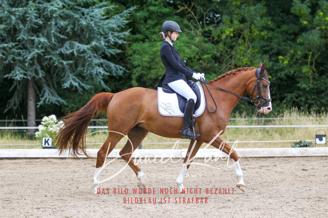 DKP46816 | Turniersportfotografie; Pferdefotografie; Dressurfotografie