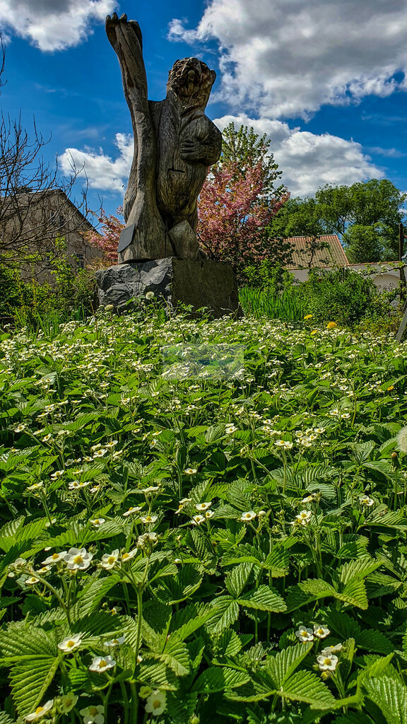 Naturkundegarten der Basilika im Frühling | Impressionen rund um Hochfranken - Frankenwald - Fichtelgebirge - Realisiert mit Pictrs.com