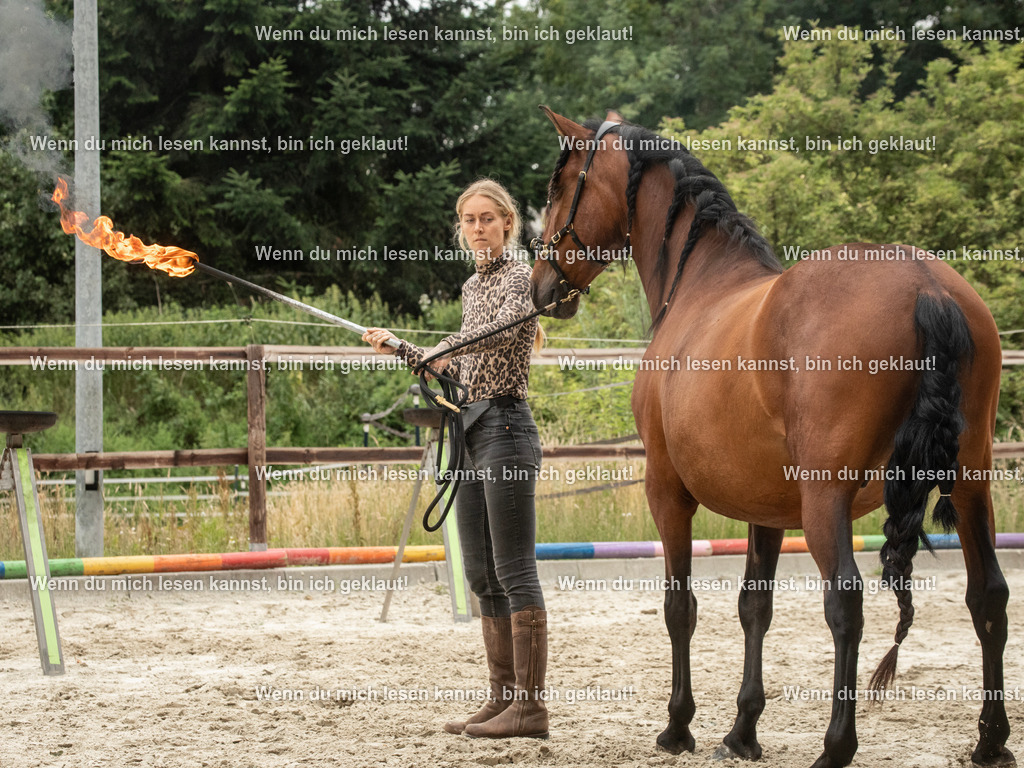 598A7603 | photographylinaismer - Realisiert mit Pictrs.com