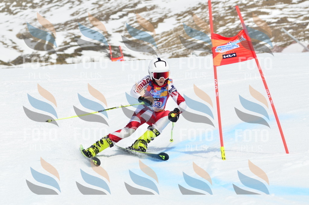 _ELE2024 | holidayphoto