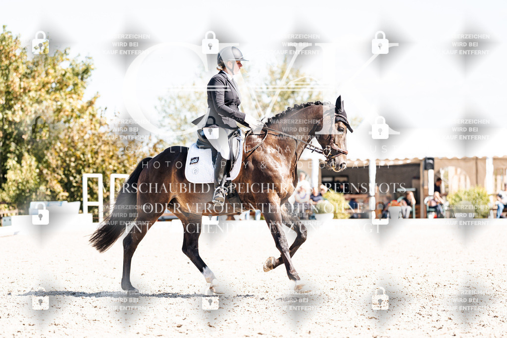 CK903569 | Turnierfotografie Pferdefotografie Trier Rheinland-Pfalz Pferdesport Reitsport Tierfotografie Sportfotografie Pferdevideo Pferdevideografie Equestrianvideography equestrianphotography  - Realisiert mit Pictrs.com