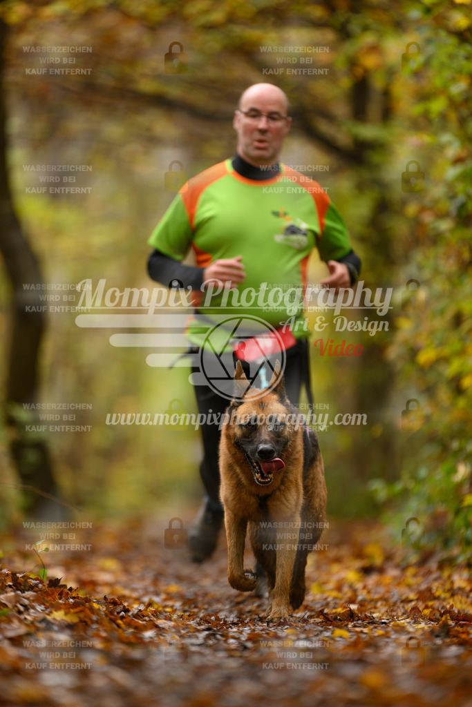 MompixPhotography_CD7S_DI_CCL-66 | mompixphotography