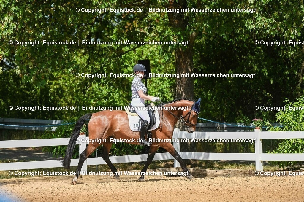 20230715_02_Dressurreiterprüfung Kl.L_0137 | equistock