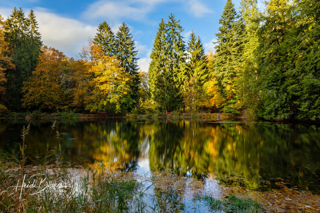Mühlenteich bei Grafschaft | Mühlenteich bei Grafschaft im Herbst - Realisiert mit Pictrs.com