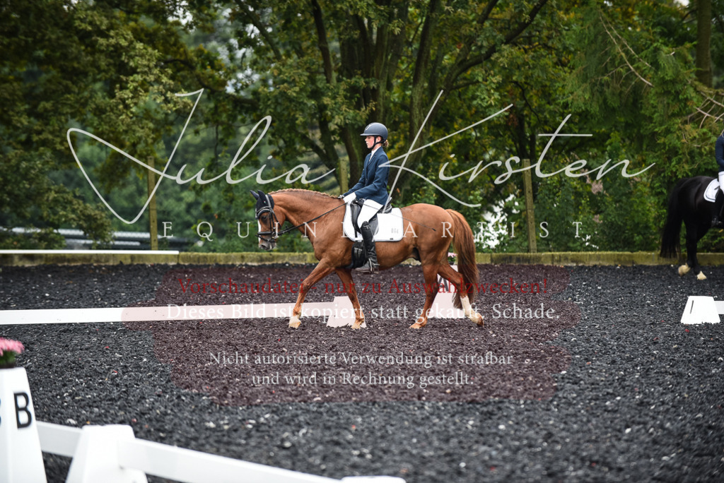 DSC_2831 | Pferde- und Turnierfotografie in Westsachsen. Pferdeportraits, Auftragszeichnungen und intuitive Kunst.