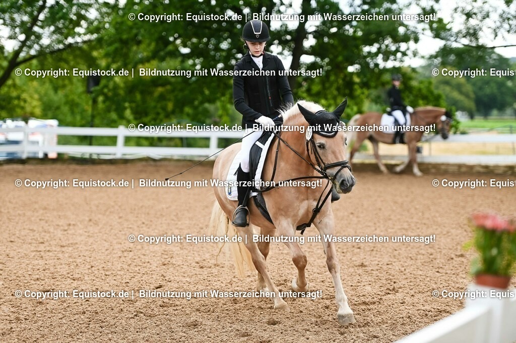 20230716_10-1_Reiter-WB Schritt - Trab - Galopp_0238 | equistock