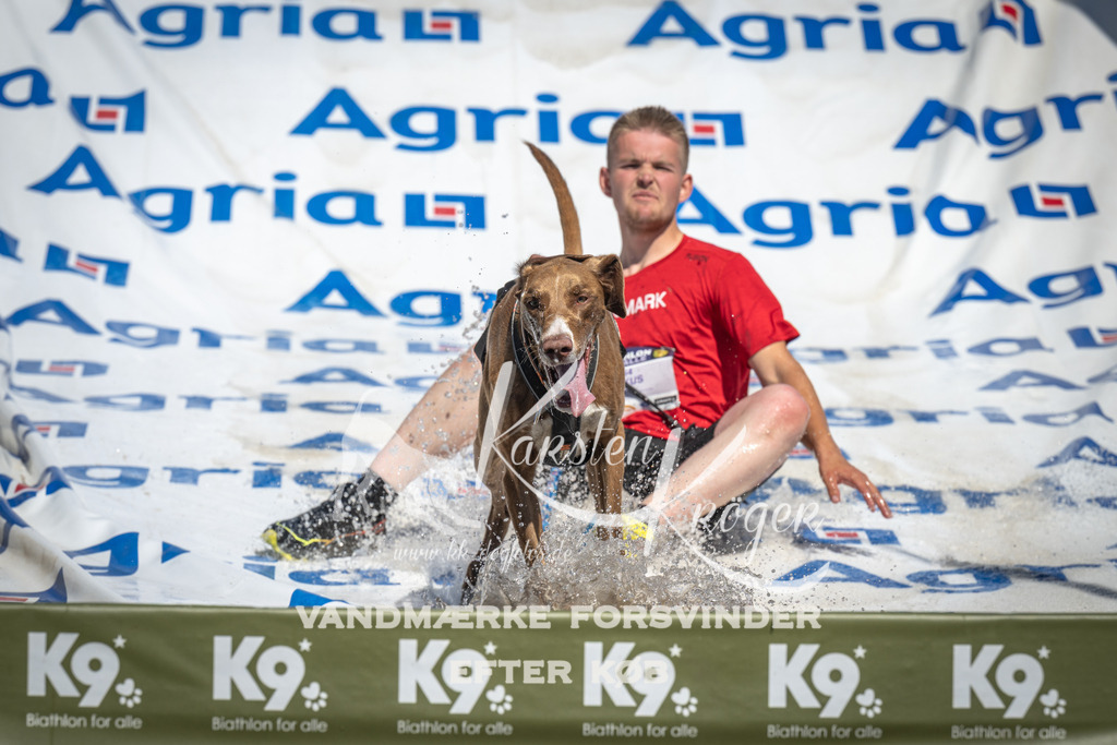 1406_ZZ92463 | kk-dogfotos