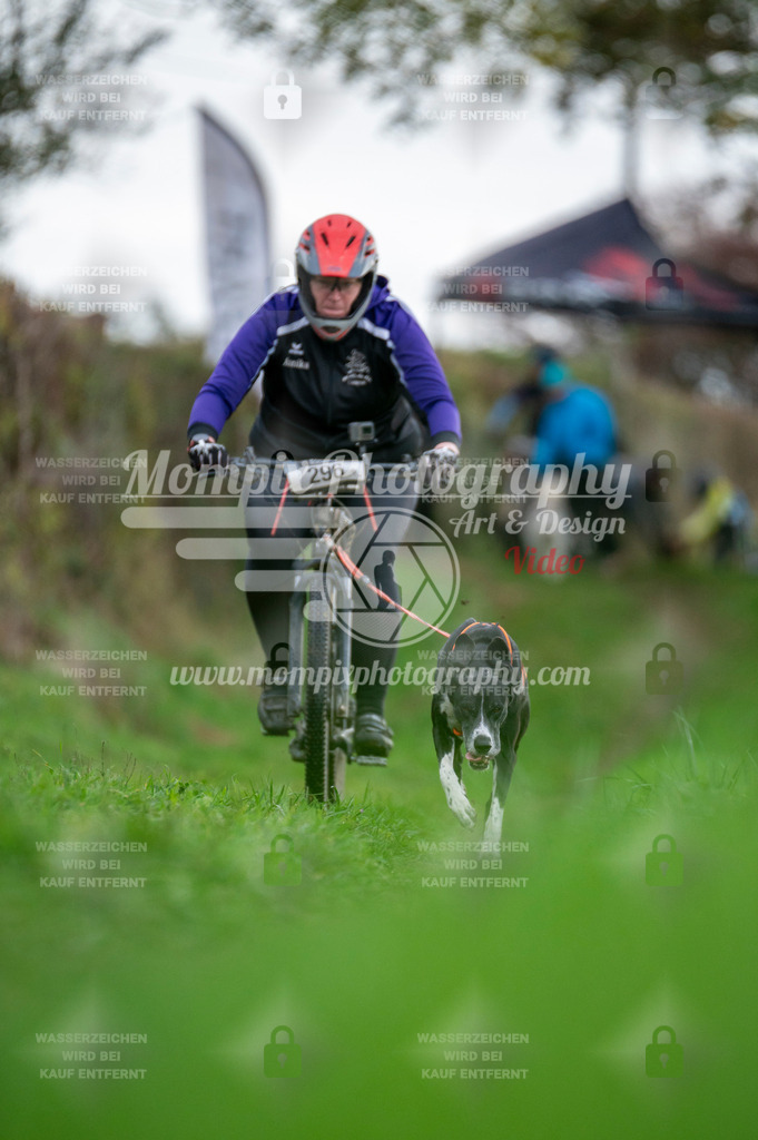 TSB_2023_E8_Bike-69 | PayLife