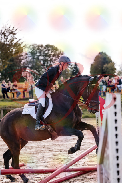 2026_10_03_Siefer-Hof_144014_Z81_10973174 | Professionelle Reitsport-, Turnier- und Eventfotografie von Robert Broda. Galerien mit ausgewählten und bearbeiteten Bildern direkt online ansehen und bestellen.