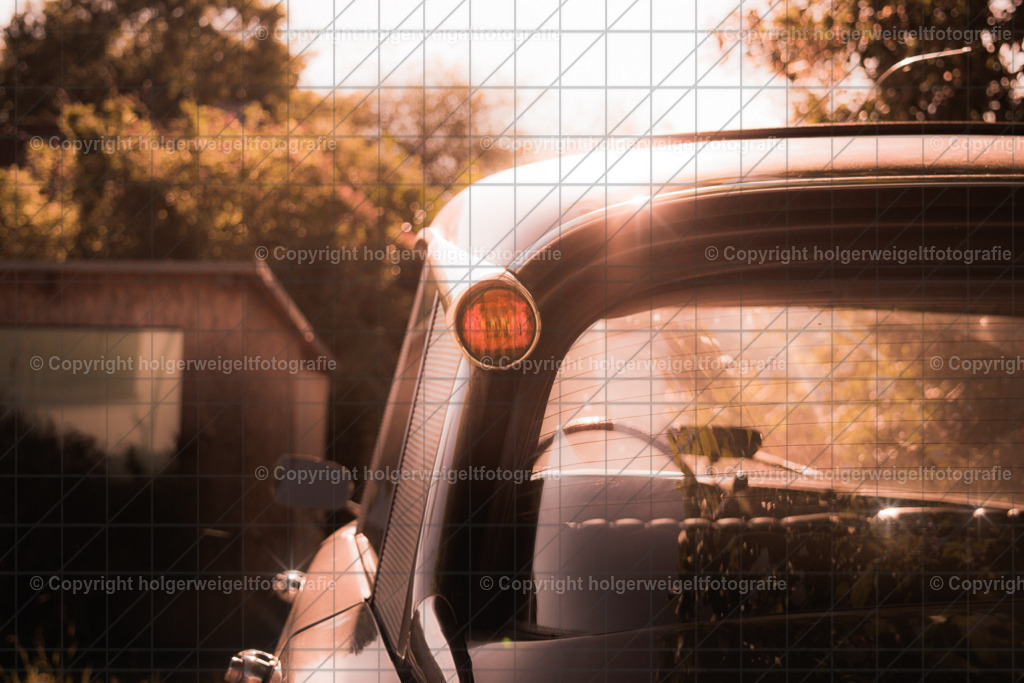 20220807090229D75_7627-Bearbeitet | Kaufen sie online außergewöhnliche Fotografien auf Leinwand Acrylglas Fotoprint Aludibond von holgerweigeltfotografie - Realisiert mit Pictrs.com