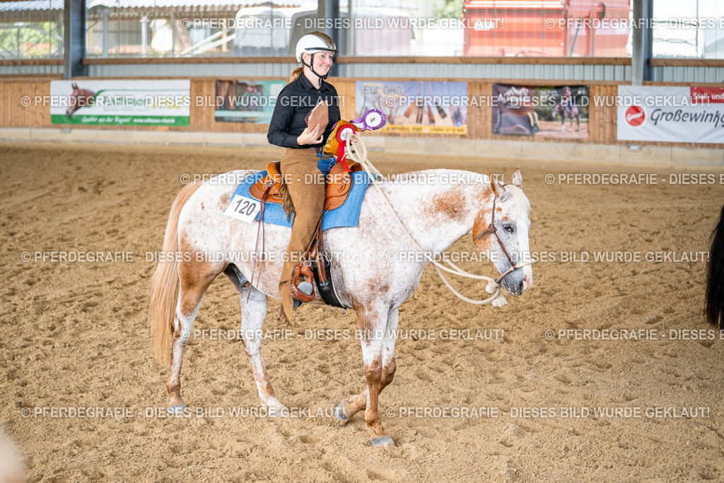 DSC02966 | Pferdegrafie