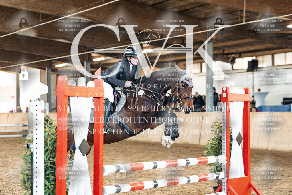 CK904021 | Turnierfotografie Pferdefotografie Trier Rheinland-Pfalz Pferdesport Reitsport Tierfotografie Sportfotografie Pferdevideo Pferdevideografie Equestrianvideography equestrianphotography  - Realisiert mit Pictrs.com