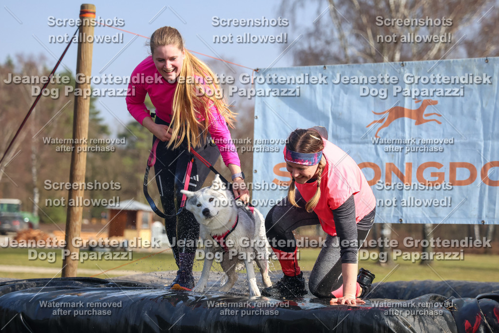 Dog Paparazzi - Strongdog North Mrz26-2351 | Dog Paparazzi Jeanette Grottendiek Fotografie & Videografie - Realisiert mit Pictrs.com