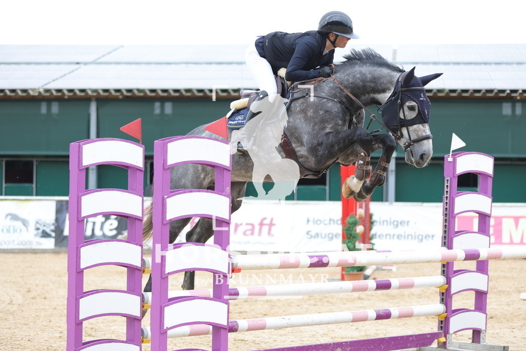 0P6A3418 | Willkommen bei Brunnmayr - Design & Fotografie – Ihrem Spezialisten für Reitturniere und Pferdeveranstaltungen in Oberösterreich, Salzburg und Bayern! Seit über 17 Jahren sind wir leidenschaftlich dabei.