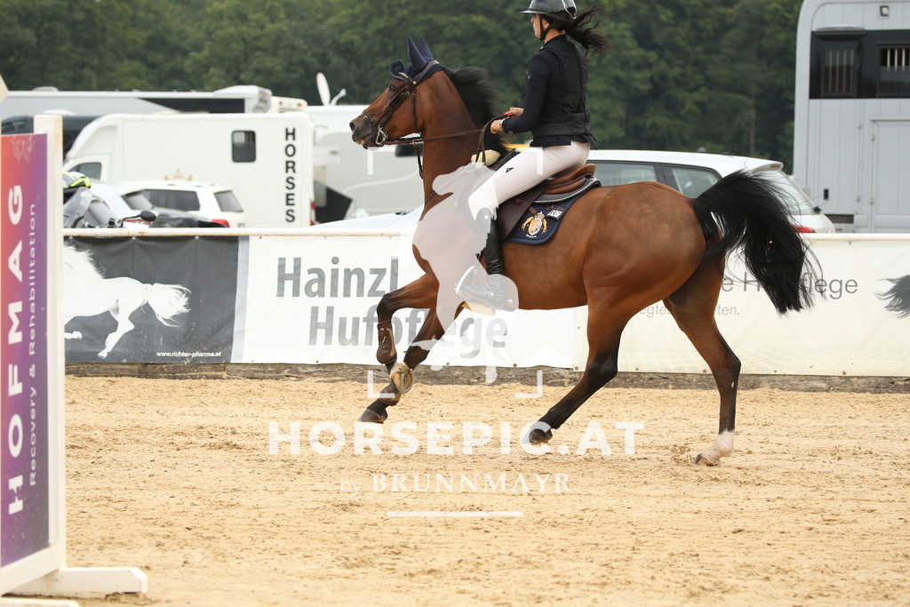 DL2Q8121 | Willkommen bei Brunnmayr - Design & Fotografie – Ihrem Spezialisten für Reitturniere und Pferdeveranstaltungen in Oberösterreich, Salzburg und Bayern! Seit über 17 Jahren sind wir leidenschaftlich dabei.