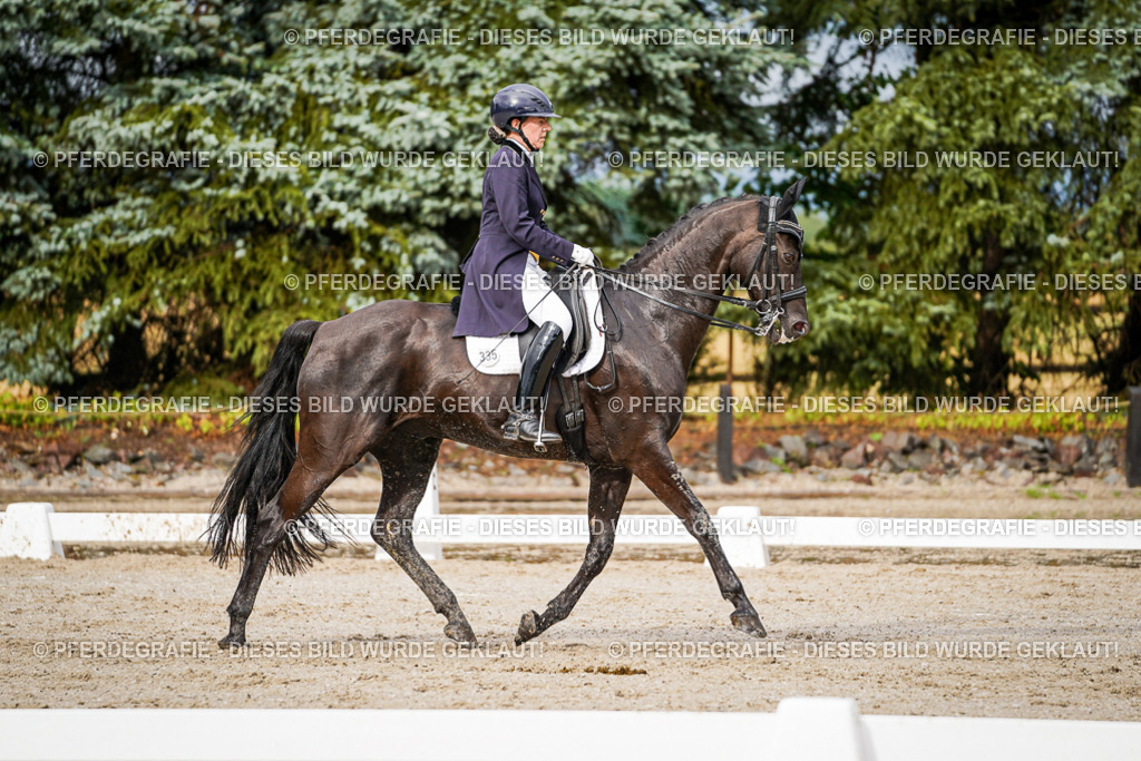 DSC09818 | Pferdegrafie